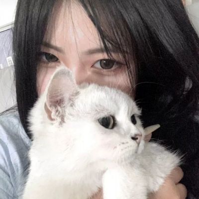 大唐剑侠传手游下载
